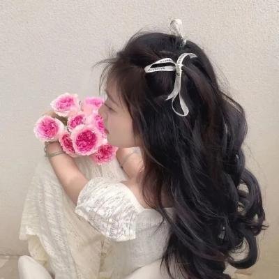 遥远星际:和平使者之战海报